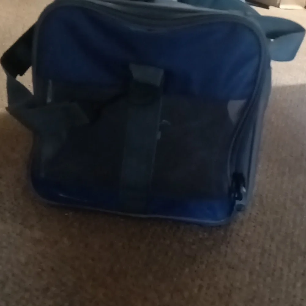 Cat bag